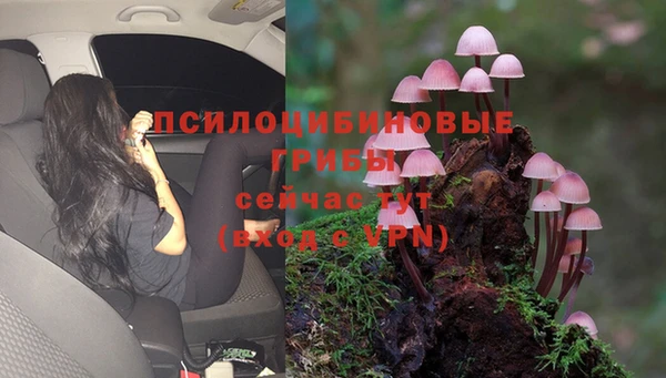 мяу мяу кристалл Лихославль