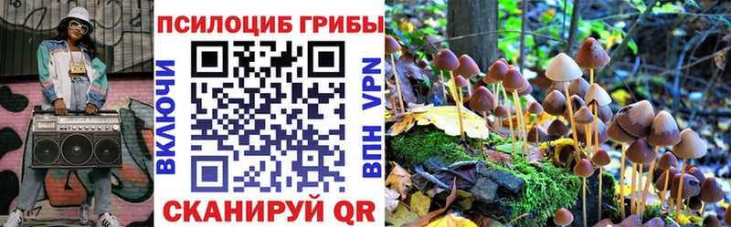 Галлюциногенные грибы ЛСД  дарк нет как зайти  Калач-на-Дону  что такое  