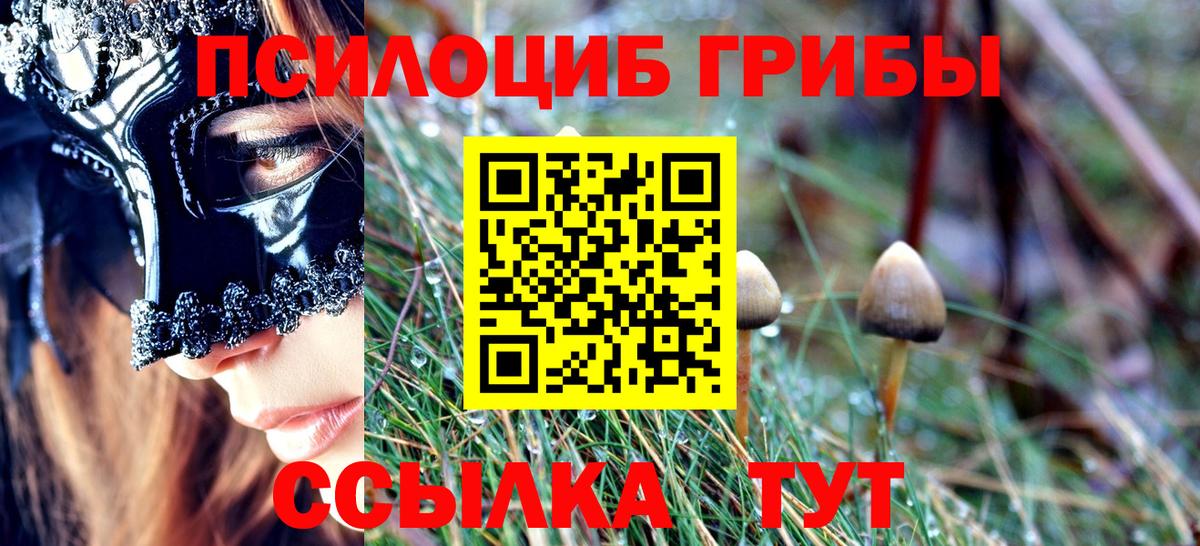 Галлюциногенные грибы прущие грибы  Псилоцибиновые грибы MAGIC MUSHROOMS  Вход с VPN  Калач-на-Дону 